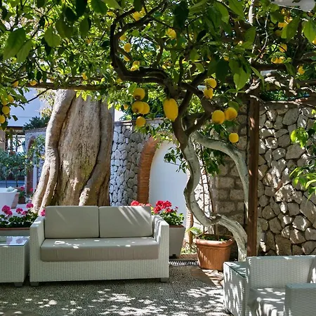 Syrene 4* Κάπρι